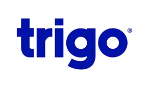 Trigo Trigo